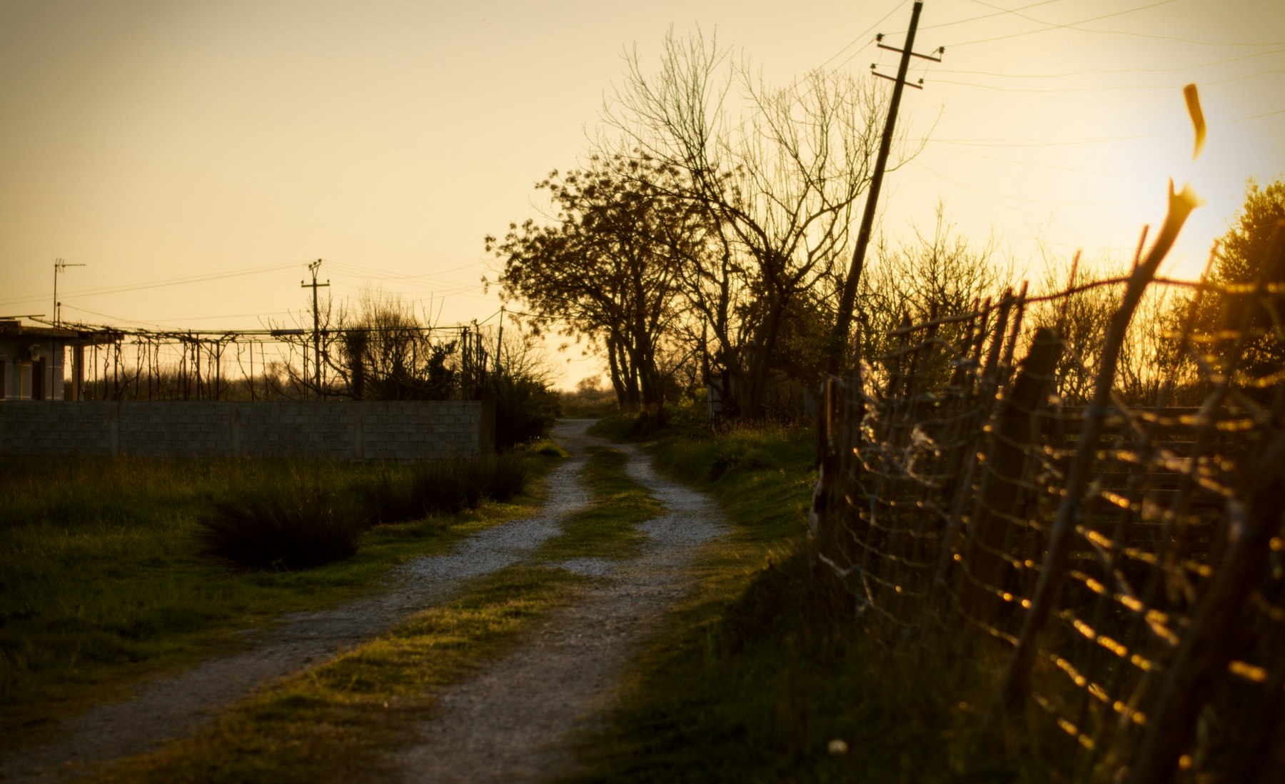 A farm track running through open country at sunset.